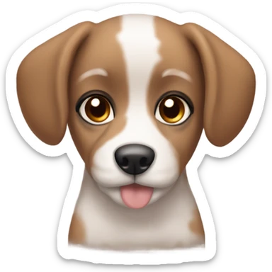 Mini Susie doodle puppy brow with brown eyes and long eyelashes  sticker