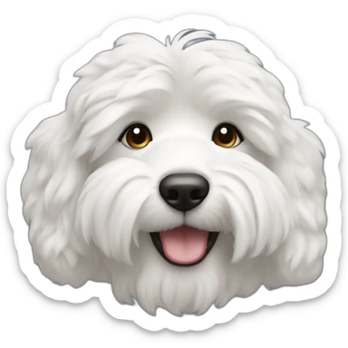 Coton de Tuléar sticker