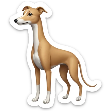 Greyhound sticker