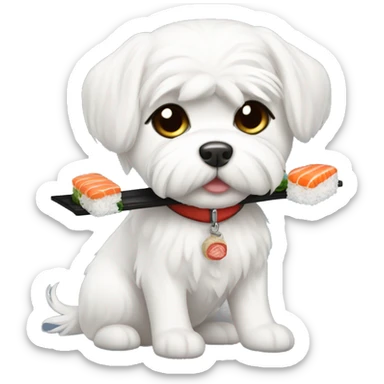 short hair maltese with sushi sticker