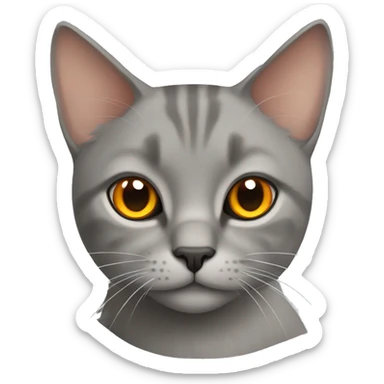 Grey straight-eared Scottish cat with orange eyes sticker