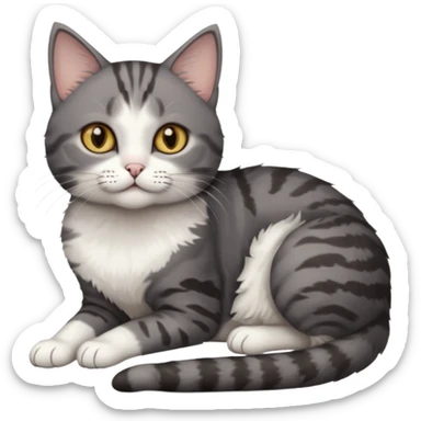 full body tiny short hair dark grey and white cat with hazel eyes lying down sticker