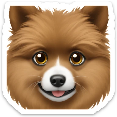 a brown haití giro with a pomerania  sticker