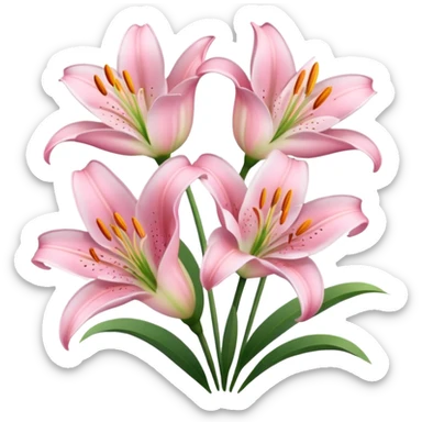babypink flower lilies  sticker