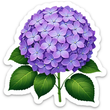 Hydrangea sticker