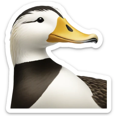 Eider sticker