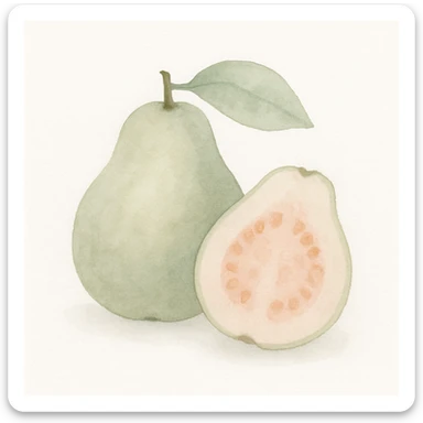 guava fruit in watercolor style, soft edges, gentle color blending, white background sticker