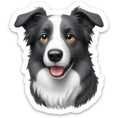 Grey border collie  sticker