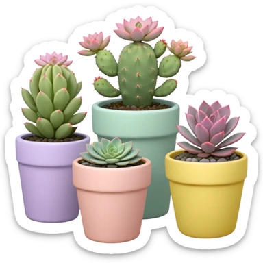 A pastel pink ceramic pot with a sedum succulent, a pastel green ceramic pot with a graptopetalum succulent, a pastel yellow ceramic pot with an echeveria succulent, and a pastel purple ceramic pot with a flowering cactus. All are cylindrical and placed separately on the floor. sticker