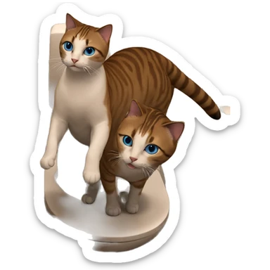 blue eyed cat in bathroom sticker