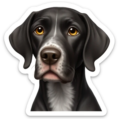 black german short hair pointer sticker