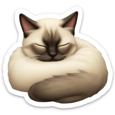 fluffy siamese cat curled up sleeping sticker