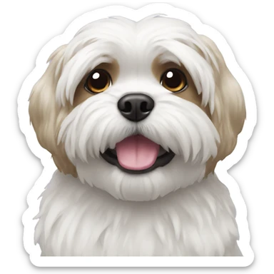 two white shitzu sticker