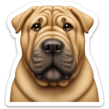 Sharpei dog  sticker