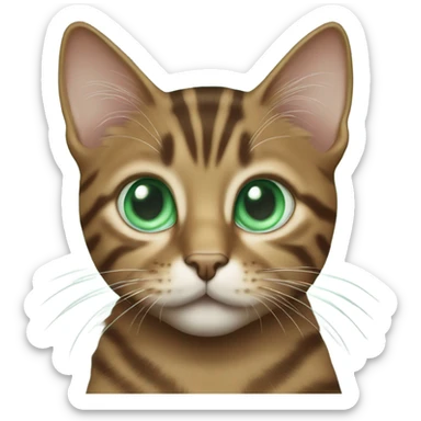 Brown tabby cat with mint green eyes sticker