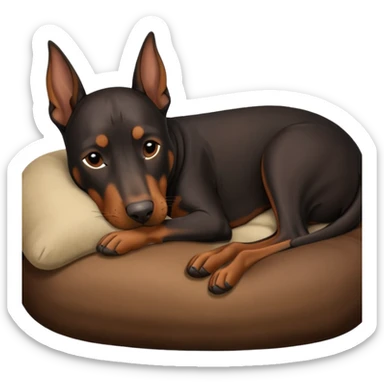 doberman dog sleeping  sticker