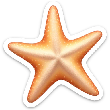 Starfish aesthetic  sticker