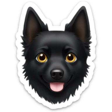 Black schipperke head with only black hair, mid length hair and dark brown eyes that eat cheese sticker