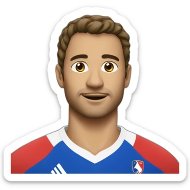 XV of france sticker