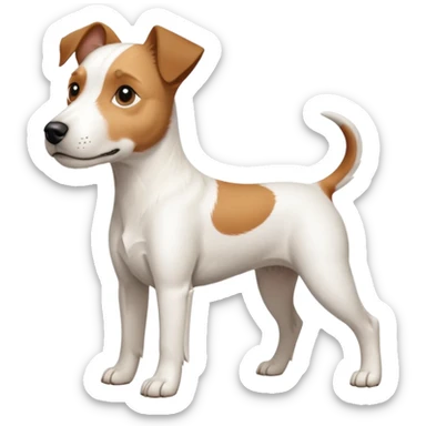 a full body large white parson russell terrier looking dog the size of a kelpie with light brown long ears and a light brown patch on one eye and a large snout sticker