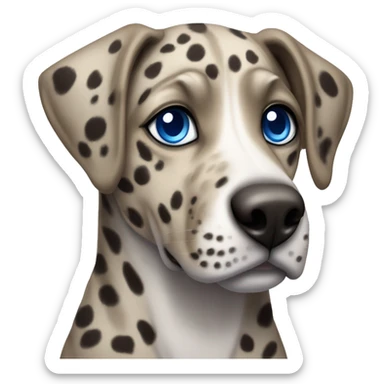 Catahoula leopard dog with blue eyes sticker