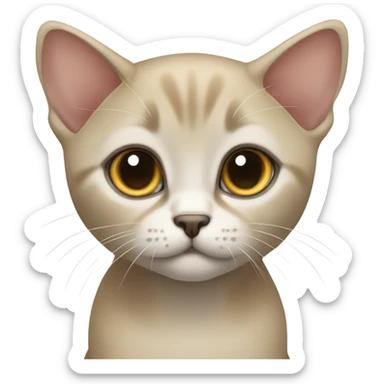 Burmese kitten sticker