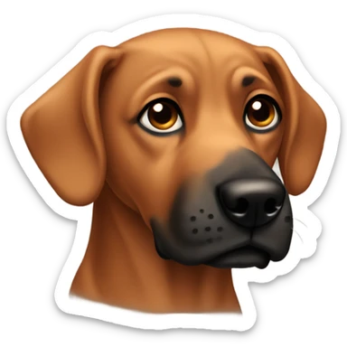 Brown dog with black nose sticker