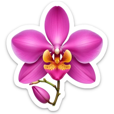 Tropical pink orchid  sticker