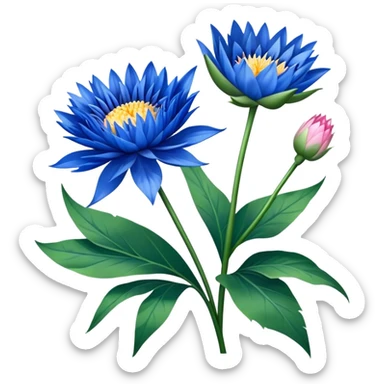luxuriant, bouquet Cornflower, stem, Water Lily leaf sticker