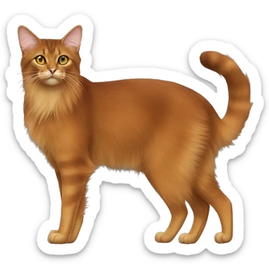 Somali Cat Breed Full Body sticker