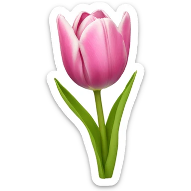 Tulip sticker