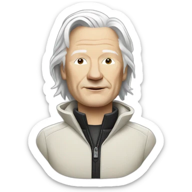 Julian assange sticker