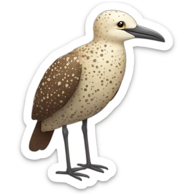 fluffy brown speckled sea bird with white spots and long legs and light yellow beak sticker