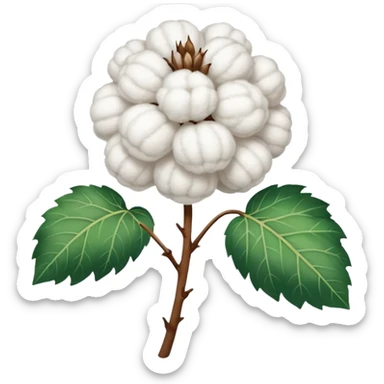 Cotton plant no face sticker