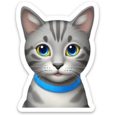 a happy gray cat with blue eyes and a blue and yellow volleyball sticker