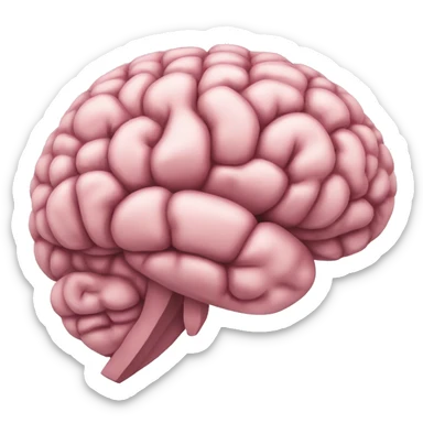 cerveau sticker