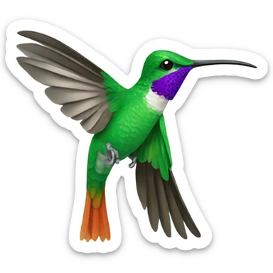 Colibri sticker