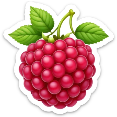 Raspberry sticker