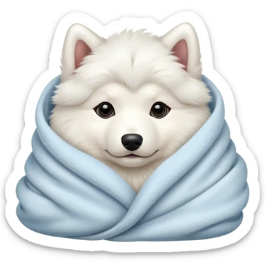 Samoyed puppy cozy in blanket sticker