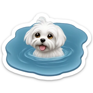 Puddle with Maltese small dog  sticker