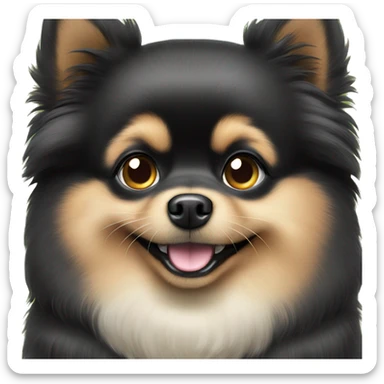 Black Pomeranian with sparkling eyes begging for food sticker