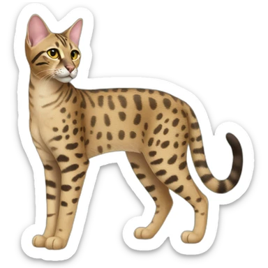 Savannah Cat Full Body sticker