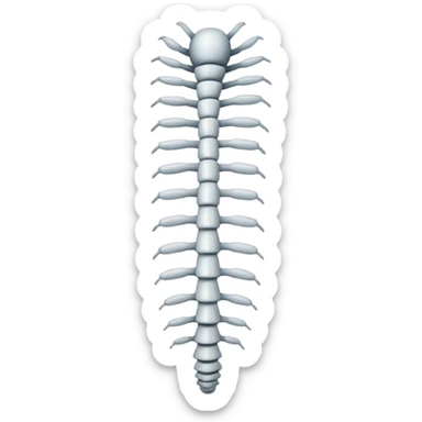 colonna vertebrale  sticker