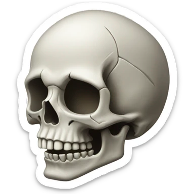skull  sticker