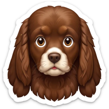A dark brown cocker spaniel with a look of suspicion  sticker
