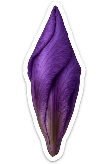 realistic purple iris bud without stem sticker