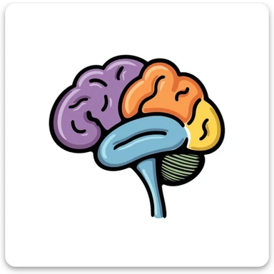 Hand-drawn anatomical brain cross-section showing different colored regions: purple cerebrum, orange cerebellum, blue brain stem, yellow thalamus, green hypothalamus. Detailed medical illustration with anatomical features clearly defined. sticker