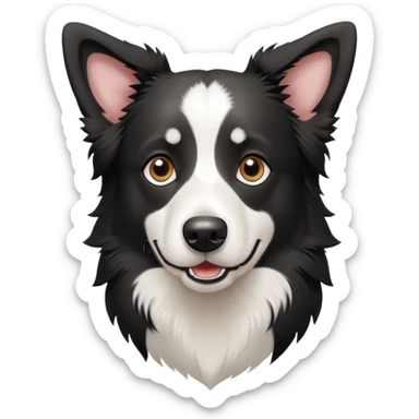Black and white border collie shepherd dog with alert expression sticker