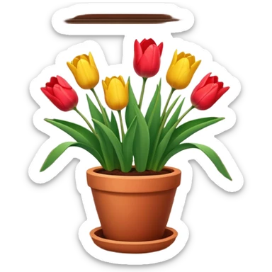 Clay pot with tulips on windowsill sticker