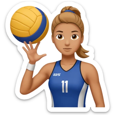 Voley sticker
